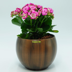 Keramik Blumentopf Bali in Holzdekor Durchmesser 8 cm /...
