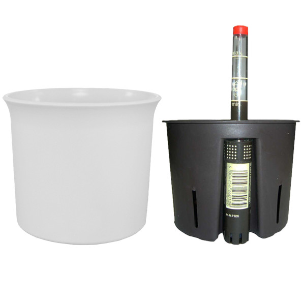 22,45 EUR/l) Set 2 X 250 Ml Dünger Flüssig Blusana