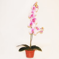 Kunstblume Orchidee weiss-pink, getopft, Höhe 65cm, 13 Blüten