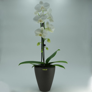 Keramik Blumentopf Rhodos f&uuml;r Orchideen anthrazit H...
