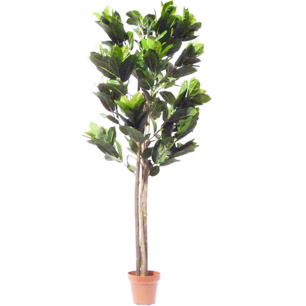 Kunstpflanze Ficus Cyathistipula ca. 160 cm Dekobaum