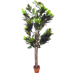 Kunstpflanze Ficus Cyathistipula ca. 160 cm Dekobaum