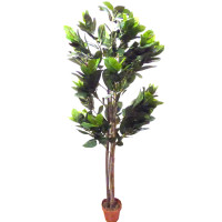Kunstpflanze Ficus Cyathistipula ca. 180 cm Dekobaum