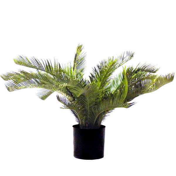 Kunstpflanze Palme Cycas revoluta H 60 cm