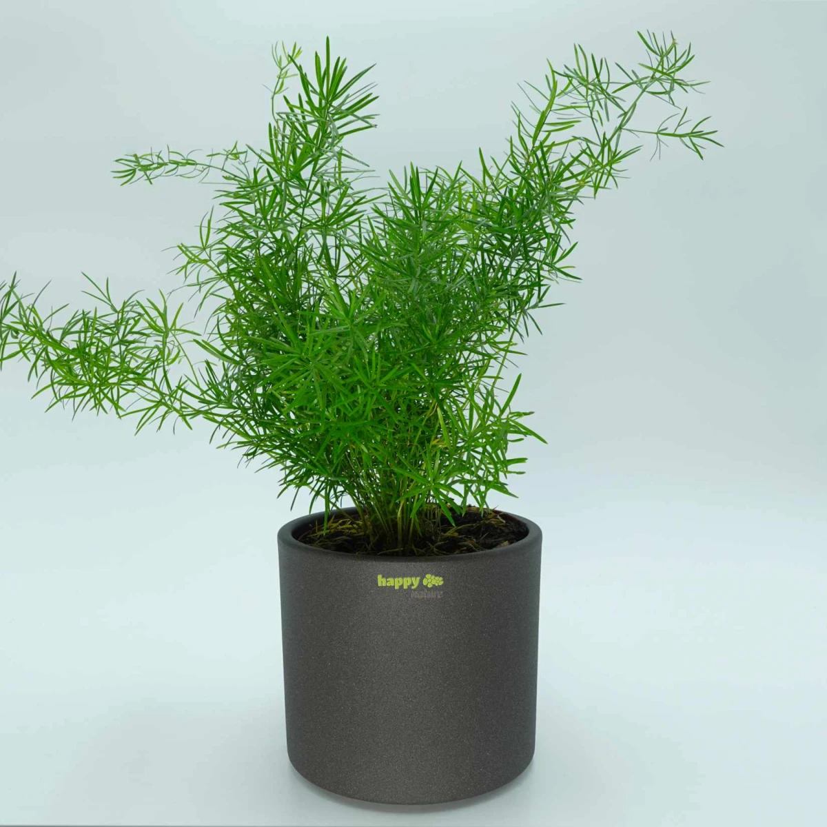 Keramik Blumentopf Madeira Zylinder grau struktur happy...