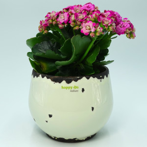 Keramik Blumentopf Kos altweiß Ø 12 cm H 10 cm