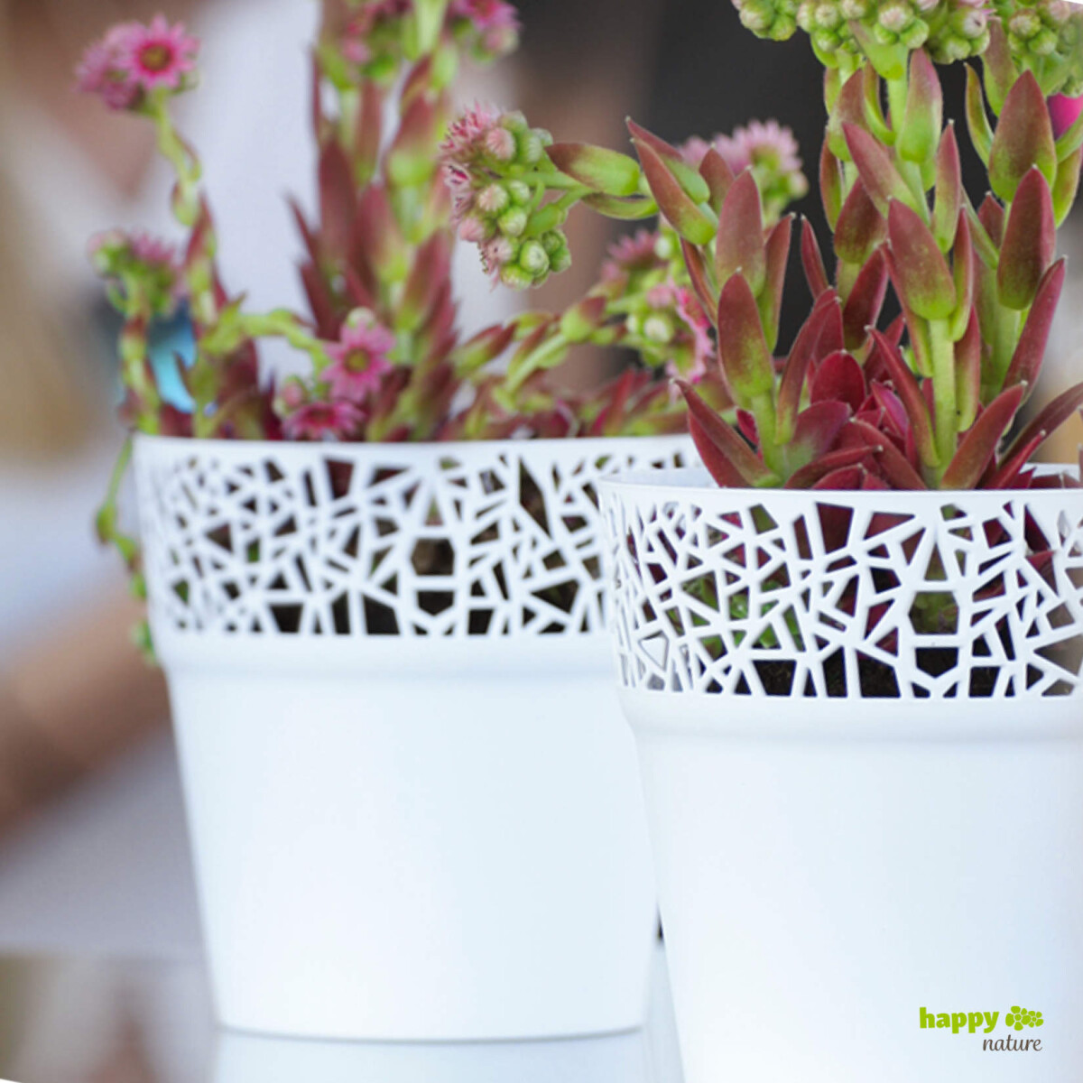 Kunststoff Blumentopf Ibo weiß  &O box